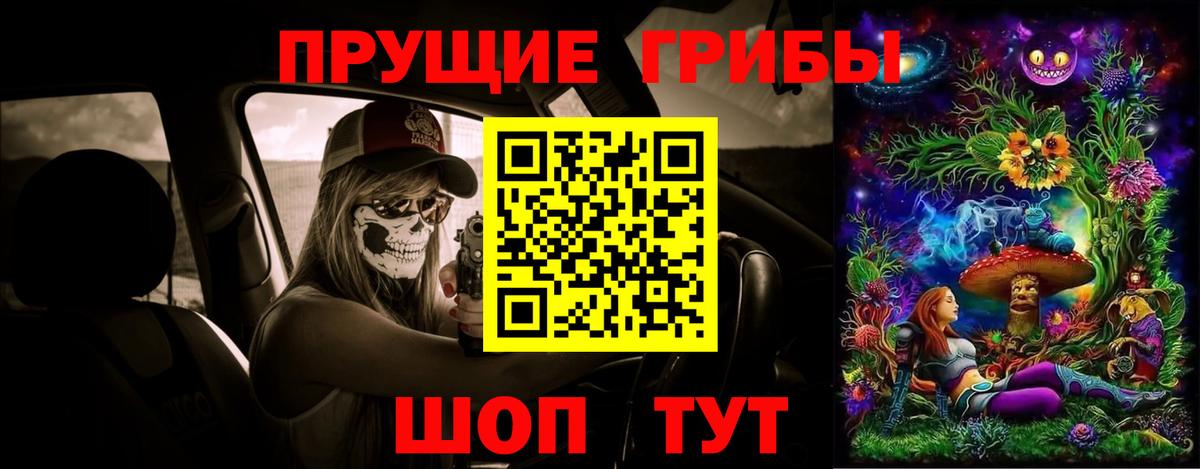 Псилоцибиновые грибы Psilocybe  Вход с VPN  Чистополь 